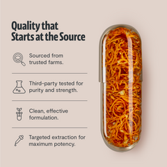 Organic Cordyceps Mushroom Supplement Capsules