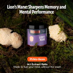 Organic Mushroom Complex Supplement Capsules